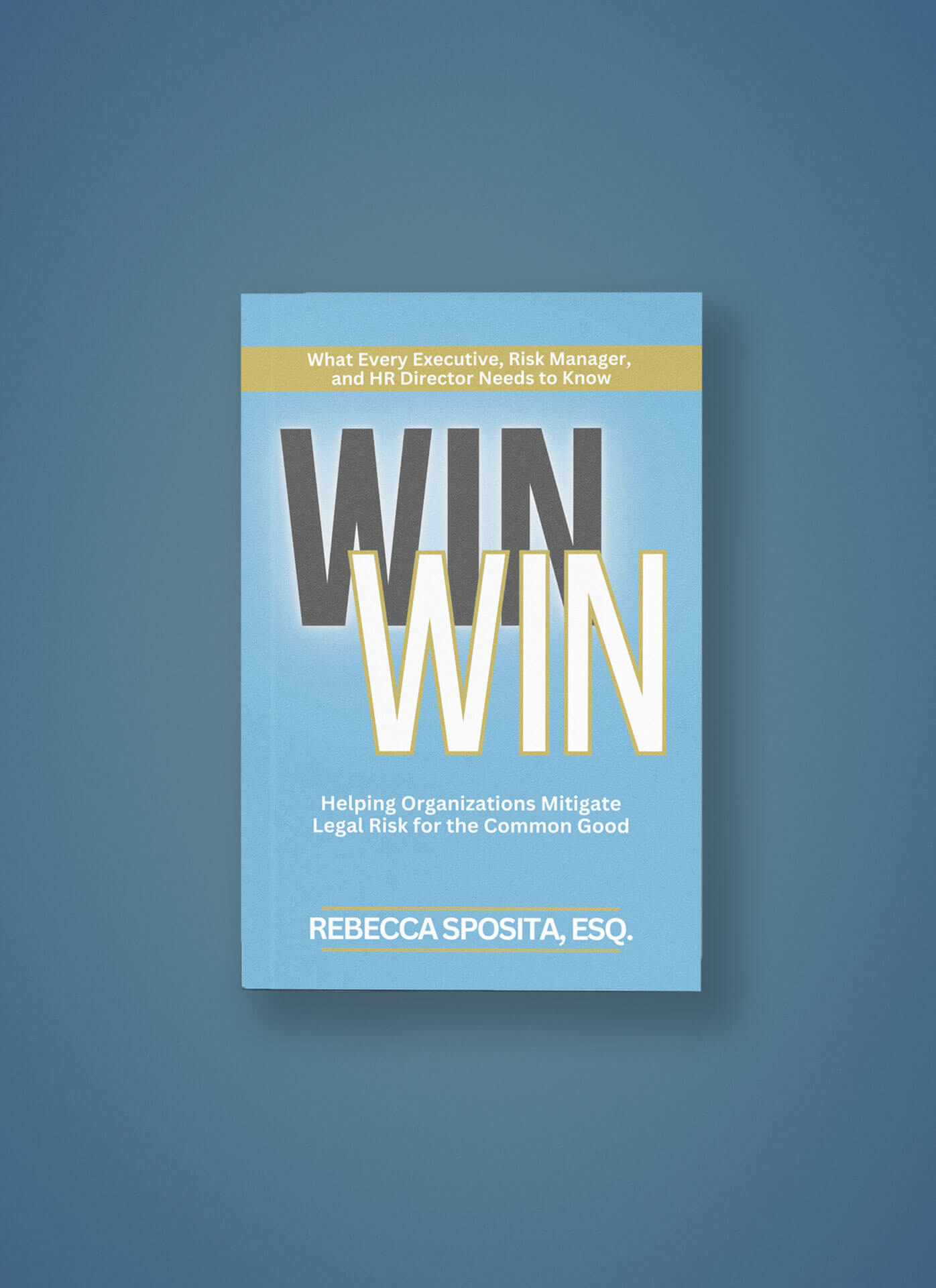 Win Win: Helping Organizations Mitigate Legal Risks For The Common Good ( Individual paperback )